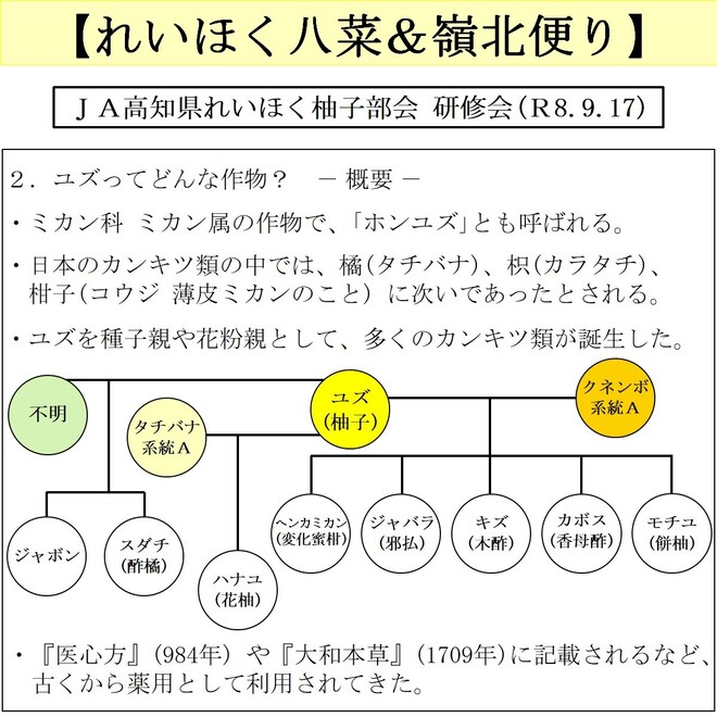 写真４