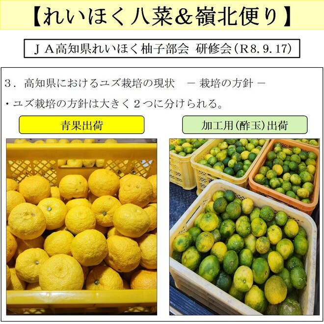 写真５