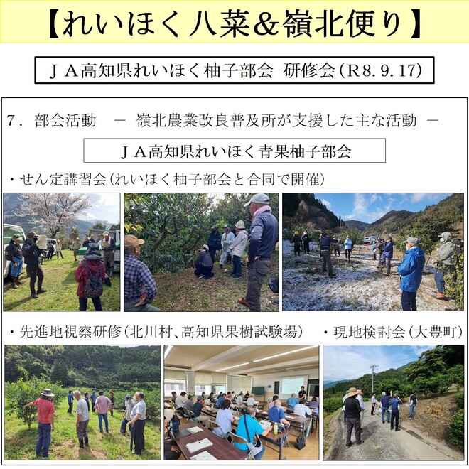 写真７