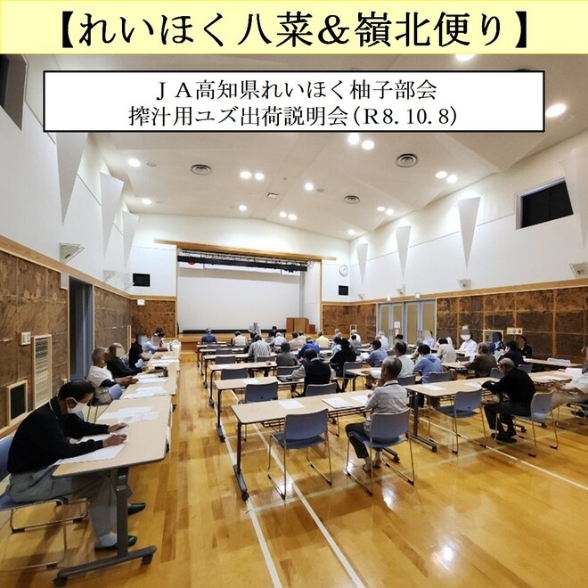 写真１