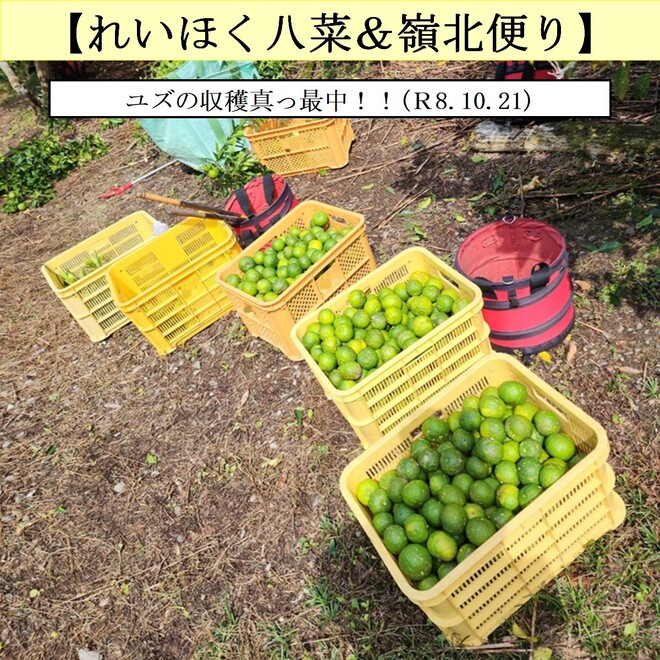 写真２