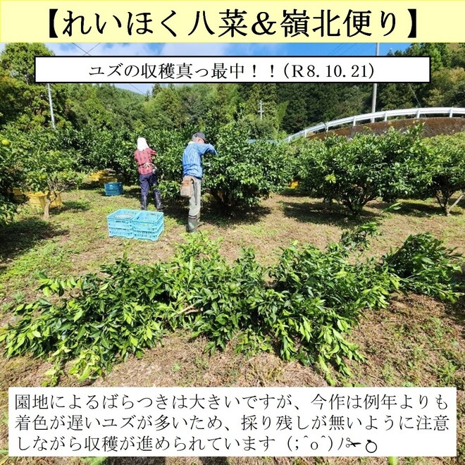 写真１