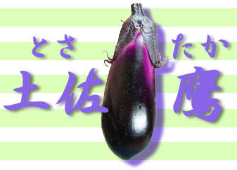 R⭐︎商品　茄子　なす　ナス なす ナス 白なす 宝石野菜 桐箱 2個入 贈答 茄子 絶品 果肉