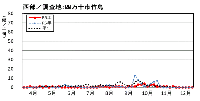 image (西部_四万十市竹島)