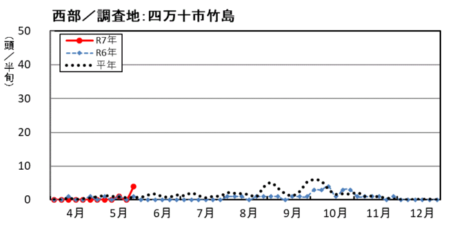 image (西部_四万十市竹島)
