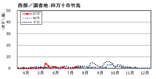 image (西部_四万十市竹島)