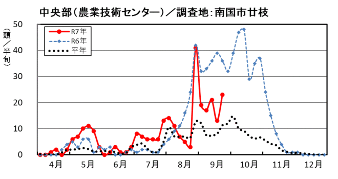 image (中央部_南国市廿枝)