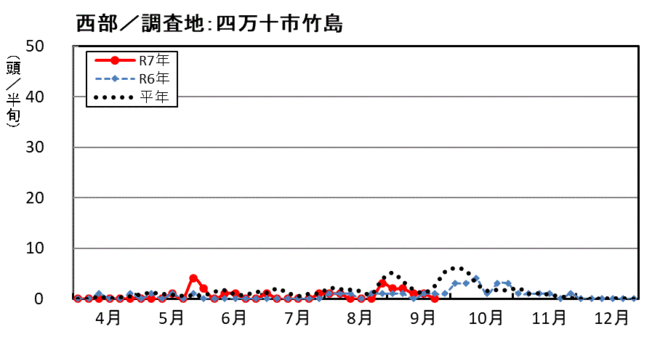 image (西部_四万十市竹島)