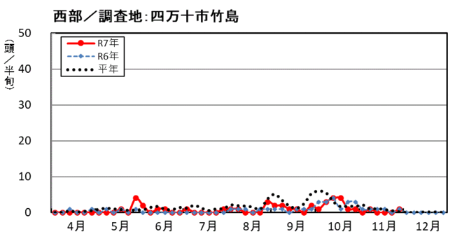 image (西部_四万十市竹島)
