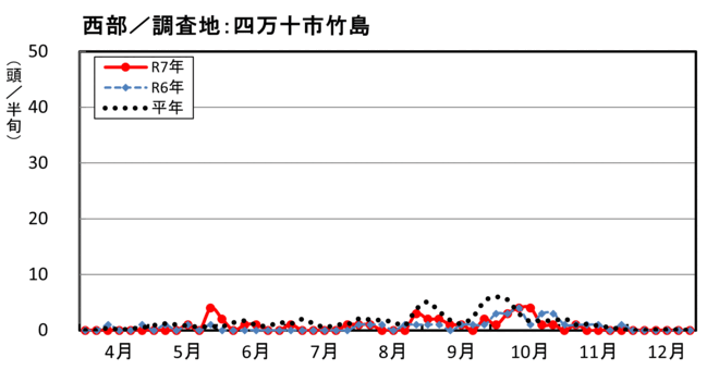 image (西部_四万十市竹島)