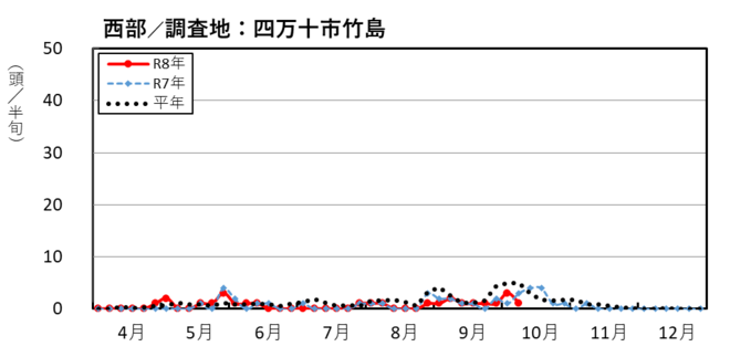 image (西部_四万十市竹島)