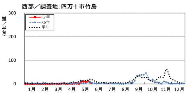 image (西部_四万十市竹島)