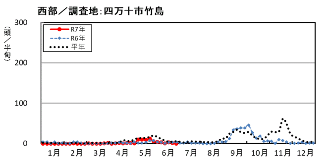 image (西部_四万十市竹島)