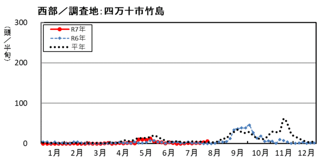 image (西部_四万十市竹島)