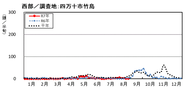 image (西部_四万十市竹島)