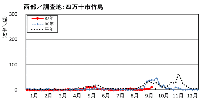 image (西部_四万十市竹島)