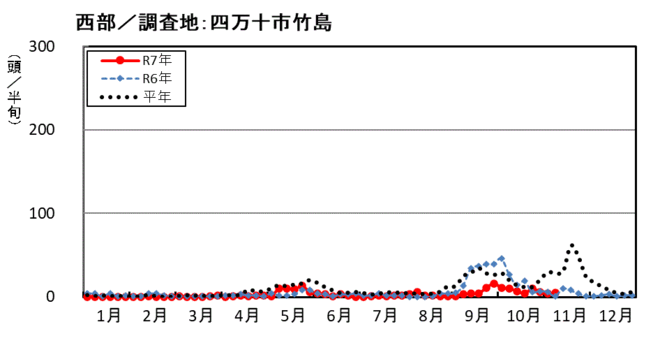 image (西部_四万十市竹島)