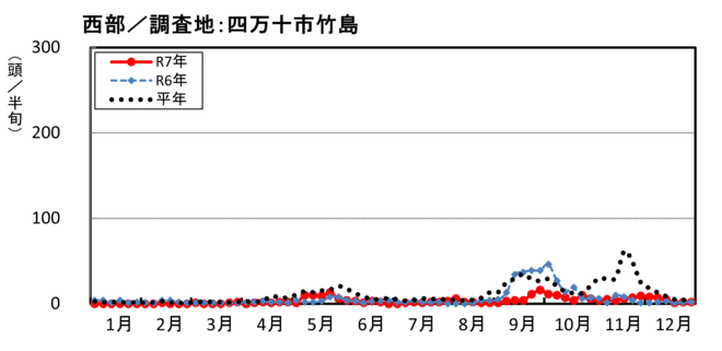image (西部_四万十市竹島)