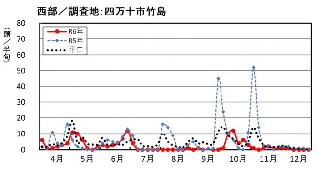 image（西部_四万十市竹島）