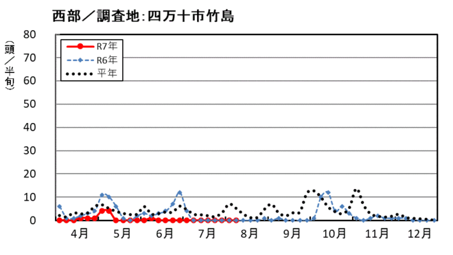 image（西部_四万十市竹島）