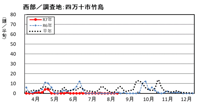 image（西部_四万十市竹島）