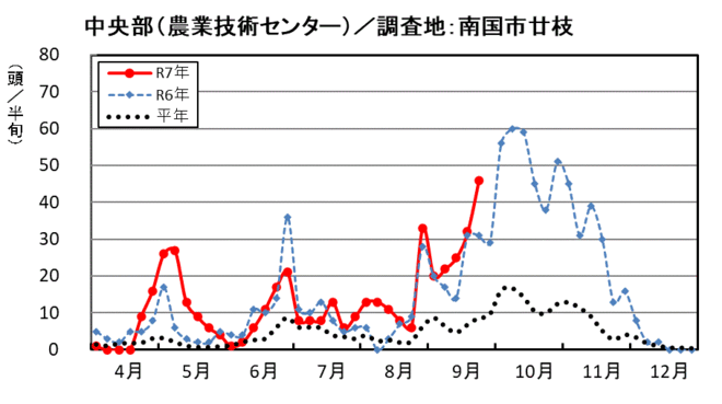 image（中央部_南国市廿枝）