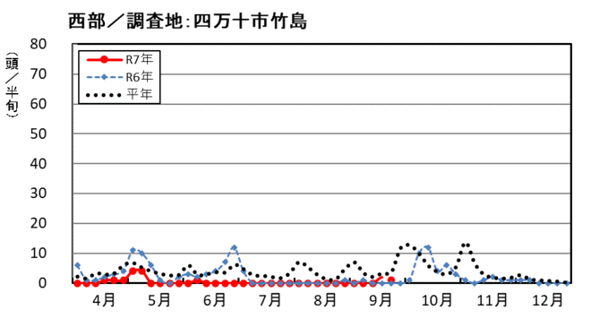 image（西部_四万十市竹島）