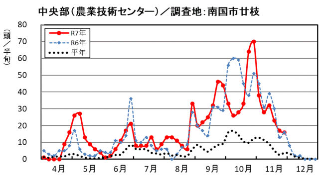 image(中央部_南国市廿枝)