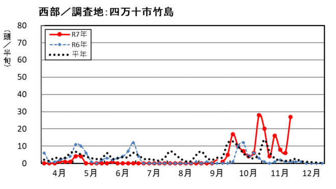 image(西部_四万十市竹島)
