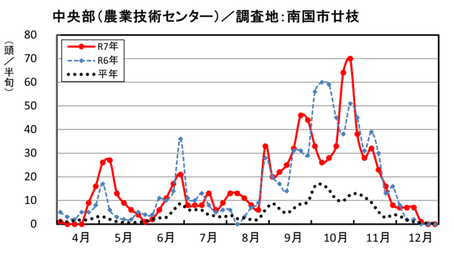 image（中央部_南国市廿枝）