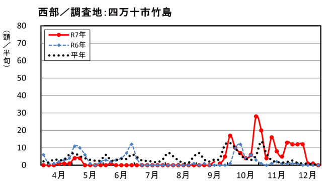 image（西部_四万十市竹島）