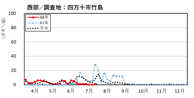 image(西部_四万十市竹島)