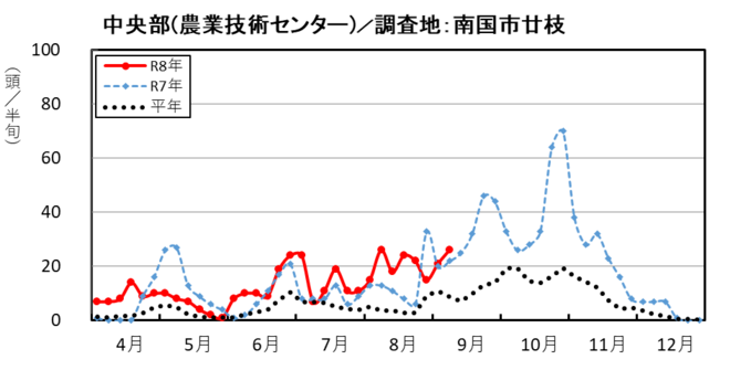 image(中央部_南国市廿枝)