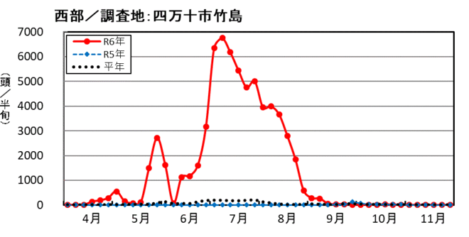 image (西部_四万十市竹島)