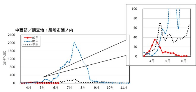 image (中西部_須崎市浦の内)