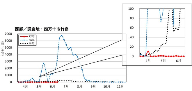 image (西部_四万十市竹島)