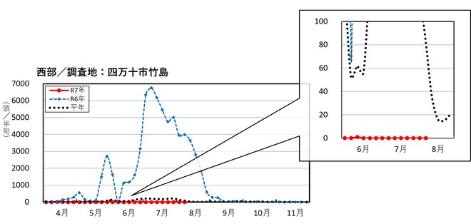 image (西部_四万十市竹島)