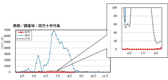 image (西部_四万十市竹島)