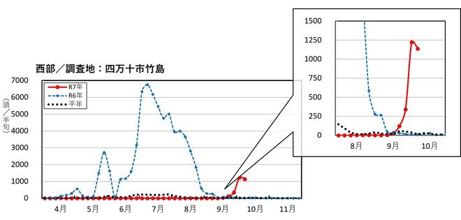 image (西部_四万十市竹島)