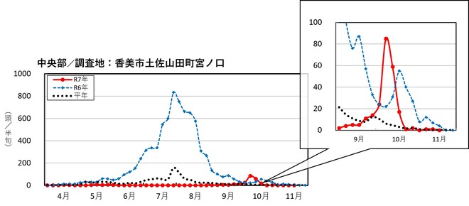 image (中央部_香美市土佐山田町)