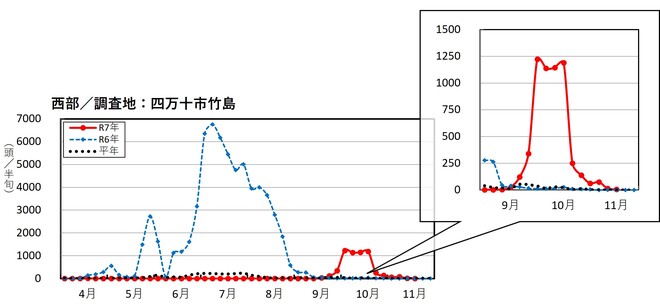 image (西部_四万十市竹島)