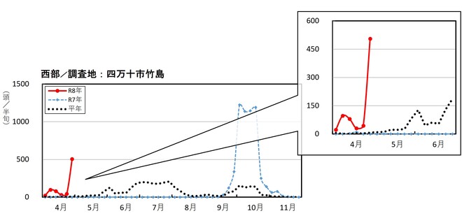image (西部_四万十市竹島)