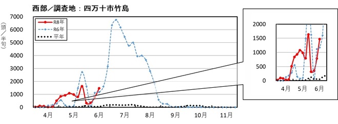 image (西部_四万十市竹島)