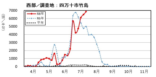 image (西部_四万十市竹島)