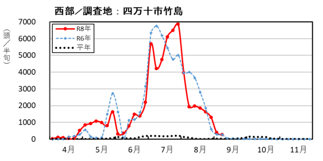 image (西部_四万十市竹島)