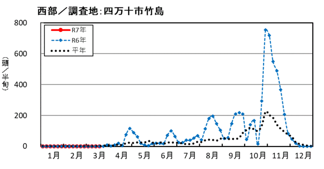 image (西部_四万十市竹島)