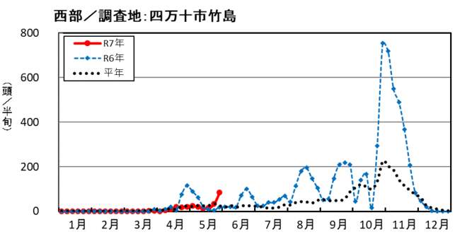 image (西部_四万十市竹島)
