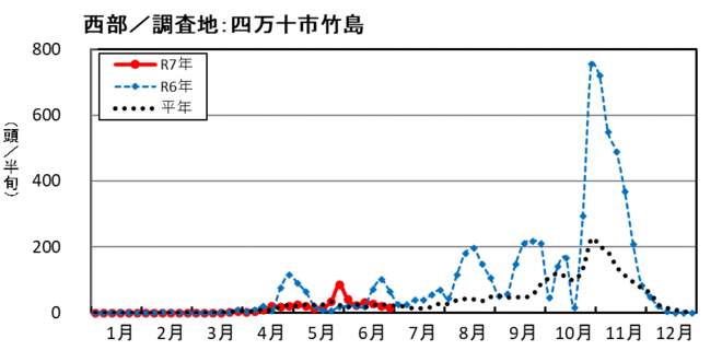 image (西部_四万十市竹島)