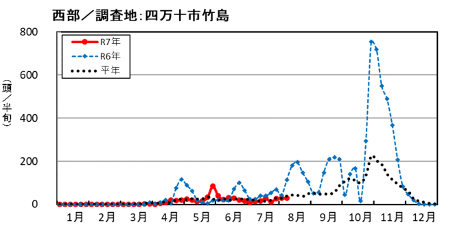 image (西部_四万十市竹島)