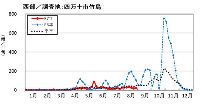 image (西部_四万十市竹島)